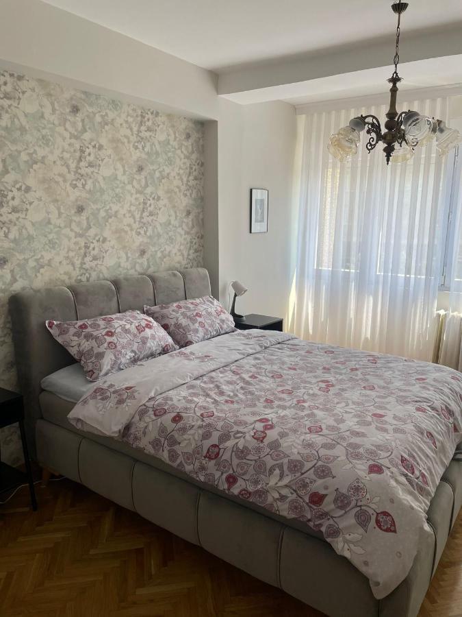 Apartman Filip Lux City Center Yeni Pazar Dış mekan fotoğraf